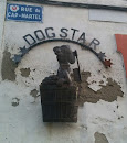 Dog Star, Revel