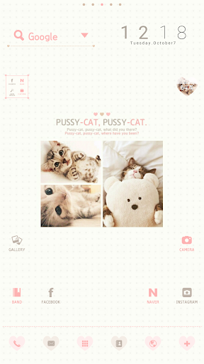 Warm Cat dodol launcher theme