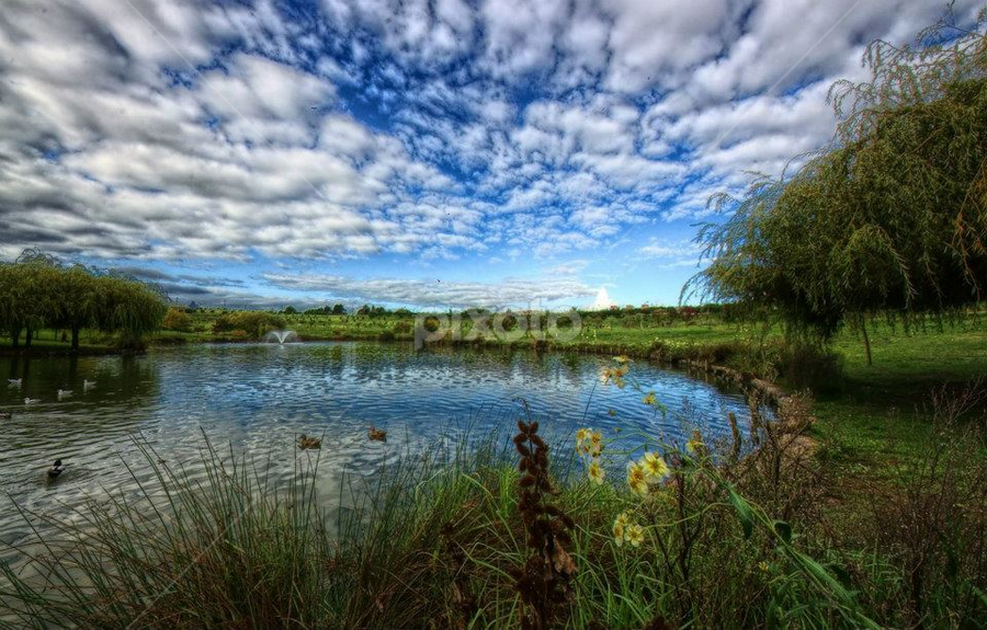 Parque da Paz by Luís Dias - Landscapes Waterscapes