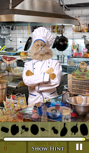 How to install Hidden Object Animal Crackers patch 1.0.13 apk for pc