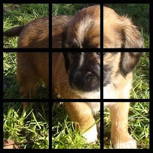 Picture Puzzle.apk 1.0