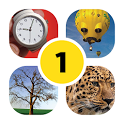 4 Pics 1 Word: Revolution icon