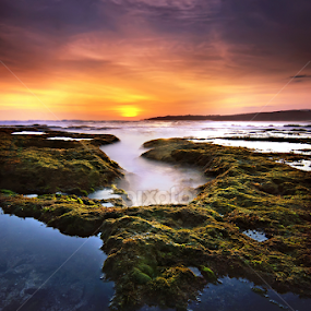 SAWARNA by Vincent Benex - Landscapes Beaches