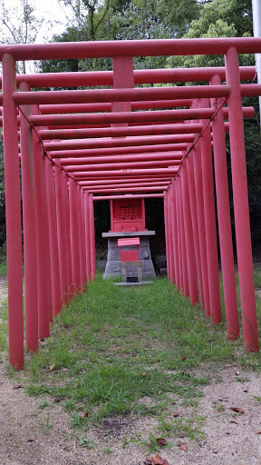 Red Oji Shrine Toris
