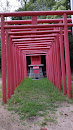 Red Oji Shrine Toris