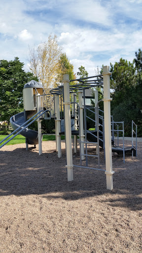 Buckthorn Playground
