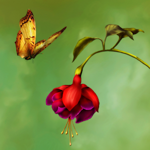 Hidden Garden Paradise.apk 1.2