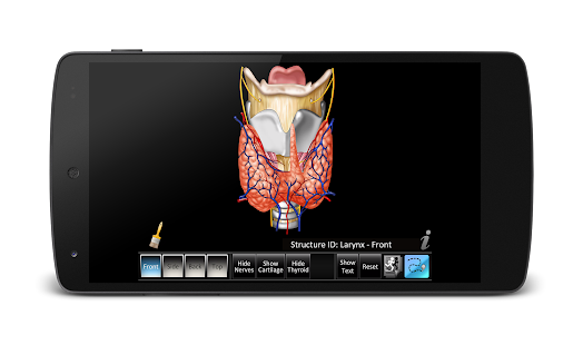 Larynx ID Screenshots 11