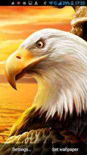 Free Download Eagle Live Wallpaper APK