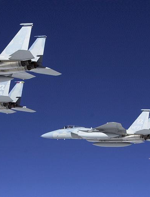 最新f15 戦闘 機 壁紙 花の画像
