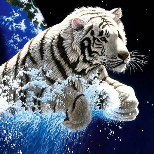 Tiger 3D Magic Live Wallpaper