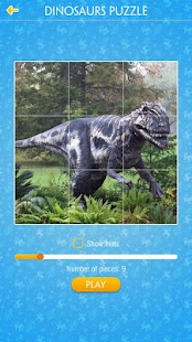 Free Jigsaw Puzzle: Dinosaur APK
