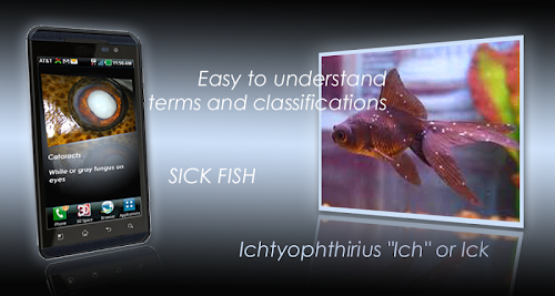 Android application Sick Fish screenshort
