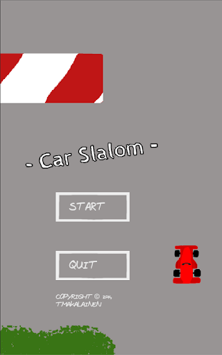 Car Slalom