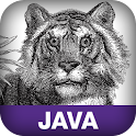 Java Pocket Guide