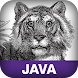 Java Pocket Guide