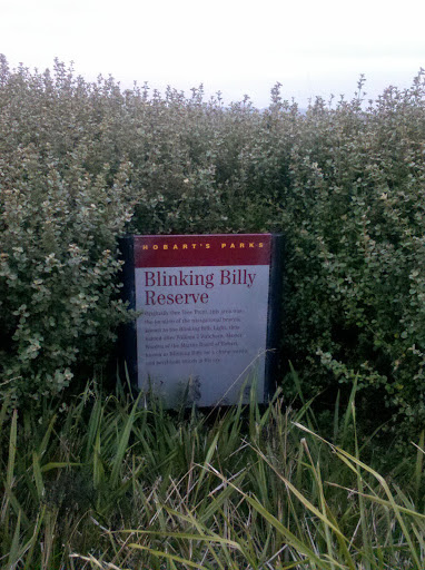 Blinking Bill Reserve