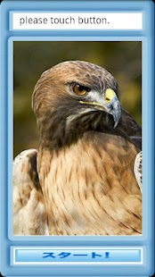 Free 鳥さんぱずる APK for PC