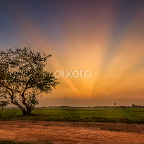 Not alone by Liquid Lens - Landscapes Prairies, Meadows & Fields