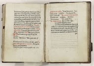 Psalter en brevier (gedeeltes) in het Latijn