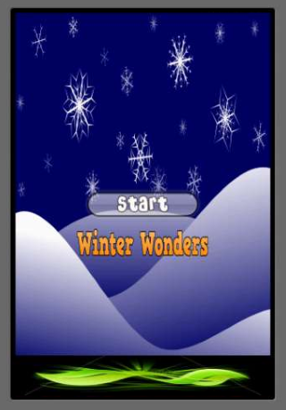 Winter Wonders