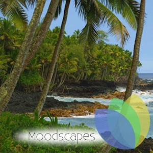 Hawaiian Waves Video & Alarm 1.9