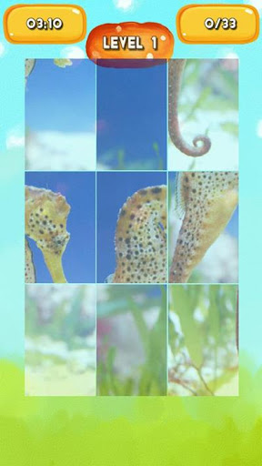免費下載解謎APP|Seahorse Jigsaw Puzzles app開箱文|APP開箱王