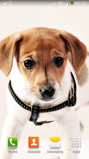 Cute Dogs Live Wallpaper