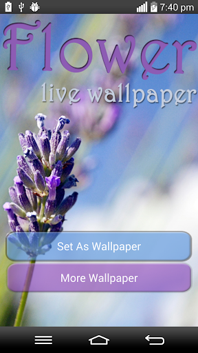 Flower live wallpaper