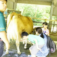 飛牛牧場