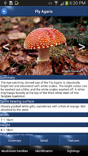 【免費書籍App】Mushroom Id: USA & Canada-APP點子