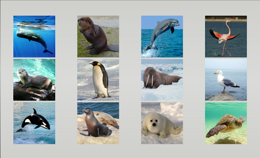 Animal sounds Screenshots 13