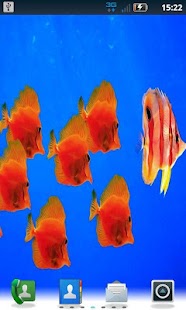 Free Ripple Fish LWP Pro APK