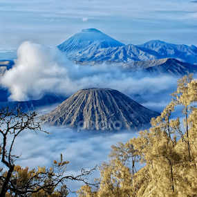 Bromo Mountain View by Roy Ardy - Landscapes Mountains & Hills