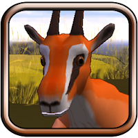 Wild Run APK icon