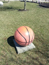 Giant Basketball