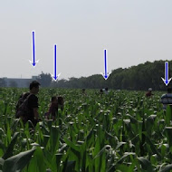 玉米田義式廚房
