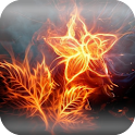Fiery Flowers Wallpapers logo