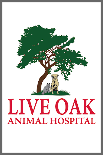 Live Oak Vet