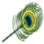 A Wise Guru logo