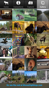 How to mod Moose Sightings lastet apk for android