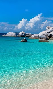 Free Landscape Components APK