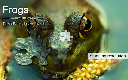 Frog Jigsaw Puzzles Demo poster 9