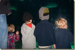 Zoo With Buys Spring 2007 (7)