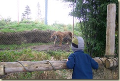 Zoo With Buys Spring 2007 (9)