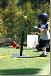 T-BALL 5-08 (6)