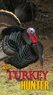 Turkey Hunter 2014