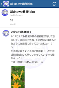 How to install Okinawa健康labo lastet apk for laptop