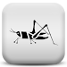 Crickets Icon