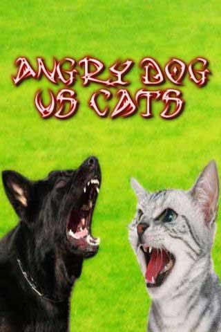 Angry Dog vs Cats